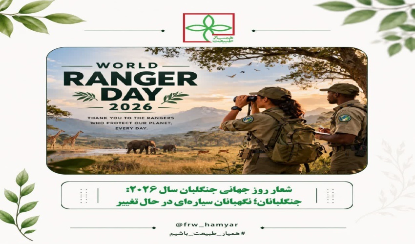 جنگلبانان؛ نگهبانان سیاره‌ای در حال تغییر