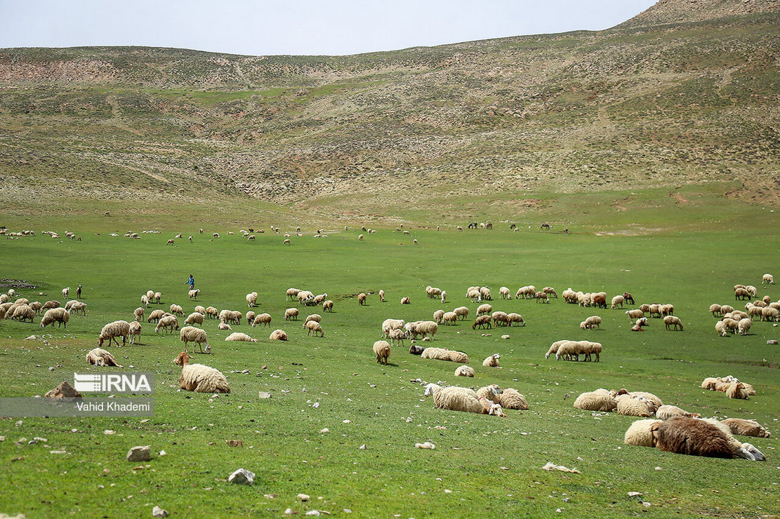 آغاز طرح‌های منابع طبیعی برای اجرای برنامه هفتم توسعه