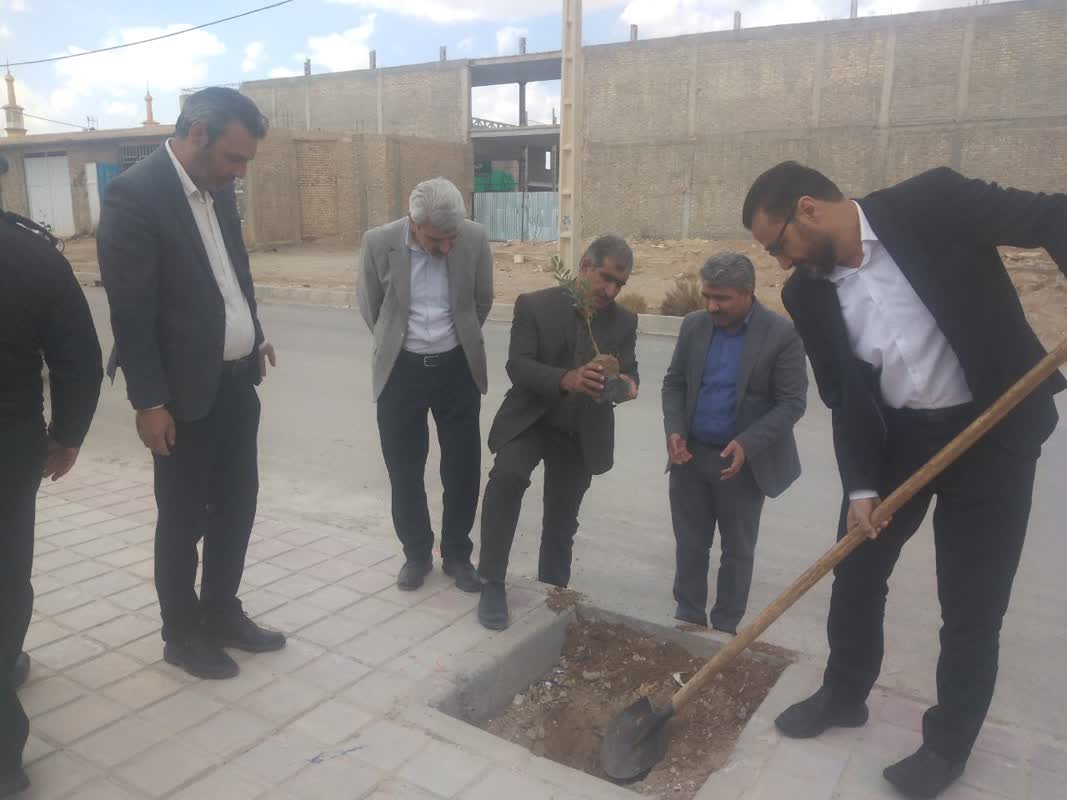 غرس نهال در کتابخانه عمومی بخش چاهک از شهرستان خاتم