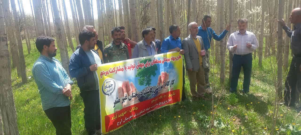 کارگاه آموزشی زراعت چوب در شهرستان آوج برگزارشد 